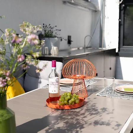 House 756 Modernes Design-ferienhaus Mit Sauna, Kamin, 4 Sz, 3 Baeder, Outdoor-kueche, Parken, Nahe Altstadt, Messe Und Airport Nyaraló *