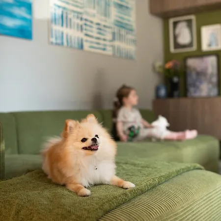 House 756 Modernes Design-ferienhaus Mit Sauna, Kamin, 4 Sz, 3 Baeder, Outdoor-kueche, Parken, Nahe Altstadt, Messe Und Airport