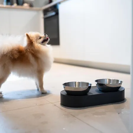 Nyaraló House 756 Modernes Design-ferienhaus Mit Sauna, Kamin, 4 Sz, 3 Baeder, Outdoor-kueche, Parken, Nahe Altstadt, Messe Und Airport *