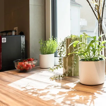 House 756 Modernes Design-ferienhaus Mit Sauna, Kamin, 4 Sz, 3 Baeder, Outdoor-kueche, Parken, Nahe Altstadt, Messe Und Airport Dom wakacyjny