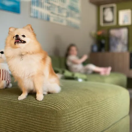 Dom wakacyjny House 756 Modernes Design-ferienhaus Mit Sauna, Kamin, 4 Sz, 3 Baeder, Outdoor-kueche, Parken, Nahe Altstadt, Messe Und Airport Moguncja