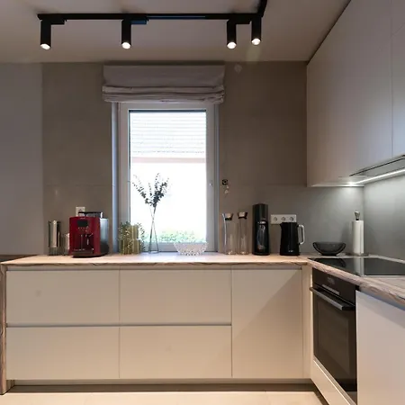 House 756 Modernes Design-ferienhaus Mit Sauna, Kamin, 4 Sz, 3 Baeder, Outdoor-kueche, Parken, Nahe Altstadt, Messe Und Airport Moguncja