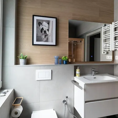 House 756 Modernes Design-ferienhaus Mit Sauna, Kamin, 4 Sz, 3 Baeder, Outdoor-kueche, Parken, Nahe Altstadt, Messe Und Airport Mainz