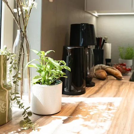 Nyaraló House 756 Modernes Design-ferienhaus Mit Sauna, Kamin, 4 Sz, 3 Baeder, Outdoor-kueche, Parken, Nahe Altstadt, Messe Und Airport *