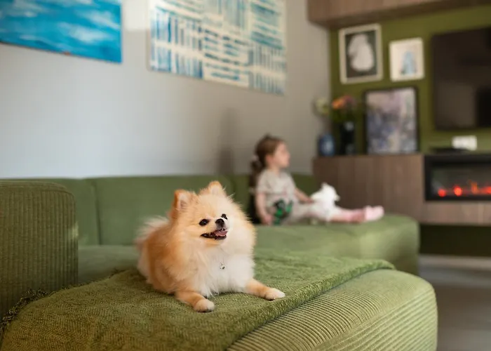 House 756 Mainz - Design-Ferienhaus, 4 Schlafzimmer, 3 Baeder, Sauna & Kamin