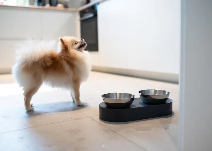 Casa de Férias House 756 Mainz - Design-Ferienhaus, 4 Schlafzimmer, 3 Baeder, Sauna & Kamin *