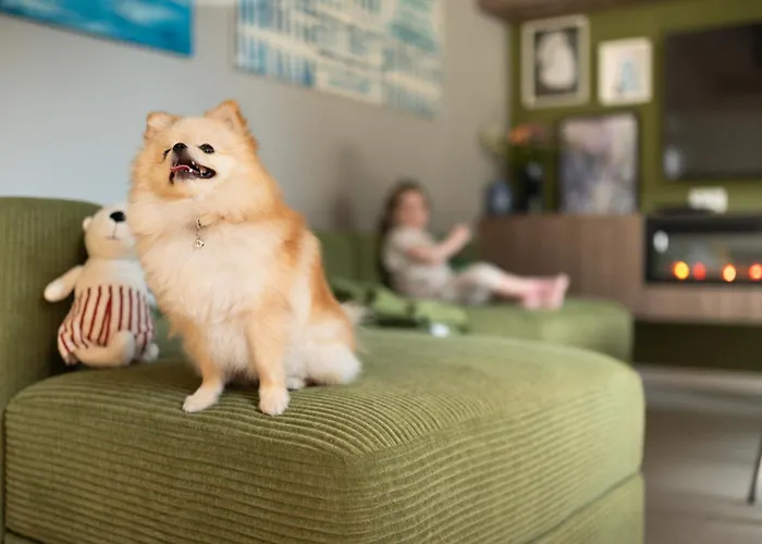 Casa de Férias House 756 Mainz - Design-Ferienhaus, 4 Schlafzimmer, 3 Baeder, Sauna & Kamin Mainz